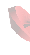 bg1
